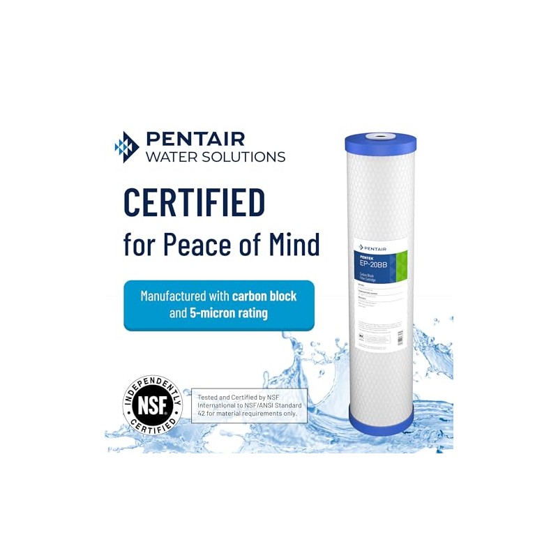 Pentair Pentek EP-20BB Big Blue Carbon Water Filter, 20-Inch, Whole