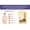 Herbs Botanica Chandan (Sandalwood) Powder Organic 100gm / 3.52 oz
