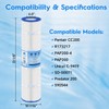 R173217 Pool Filter Cartridge Replacement for Pentair CC200,C-9419,PAP200,FC-0688,200 Sq.ft,1Pack