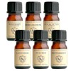 Nagomi Aroma Essential Oil Trial Set [AEAJ Certified Essential Oils]