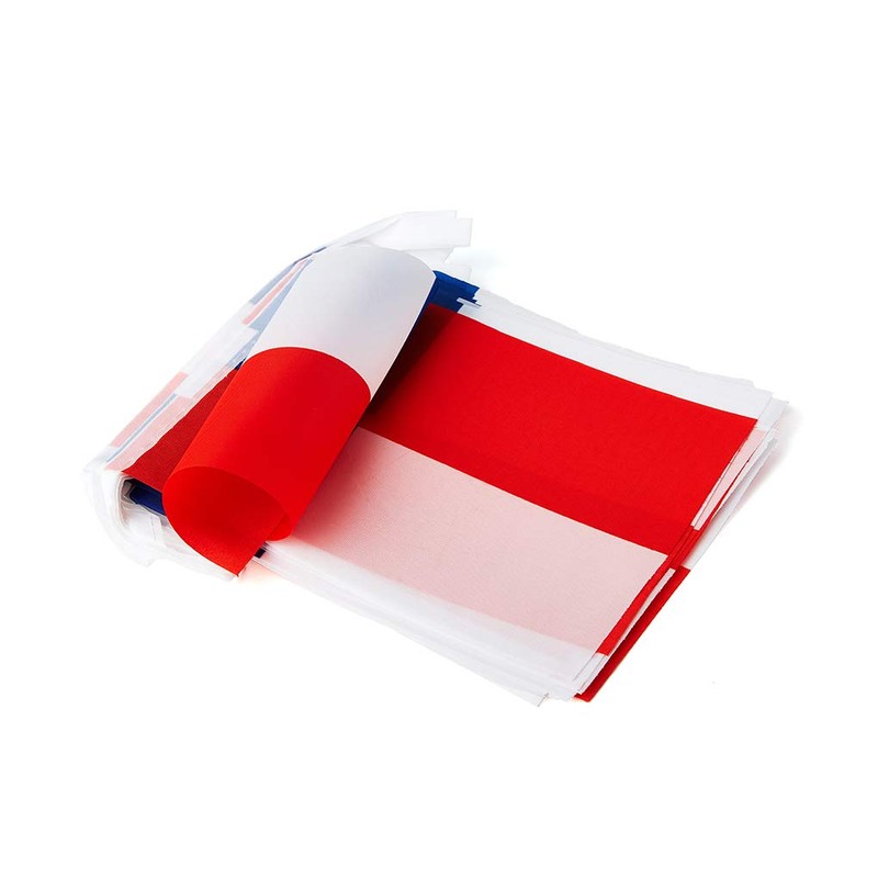 Chile Flags Chilean Small String Mini Flag Pennant Banner Decorations