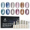 CHERIMOYA Kit de 6 Esmalte de Uñas de Gel Ojos