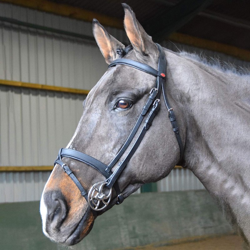 John Whitaker Ready To Ride Snaffle Bridle Black Cob