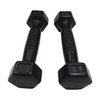 Ivanko Rubber Dumbbells, 1 lb (Pair)