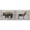 IKEA BJORNAMO - Poster, 11 ¾ x 7 ¾ Bear