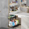 Under Sink Organizer, 2 Packs 2 Tier Under Sink Organizers