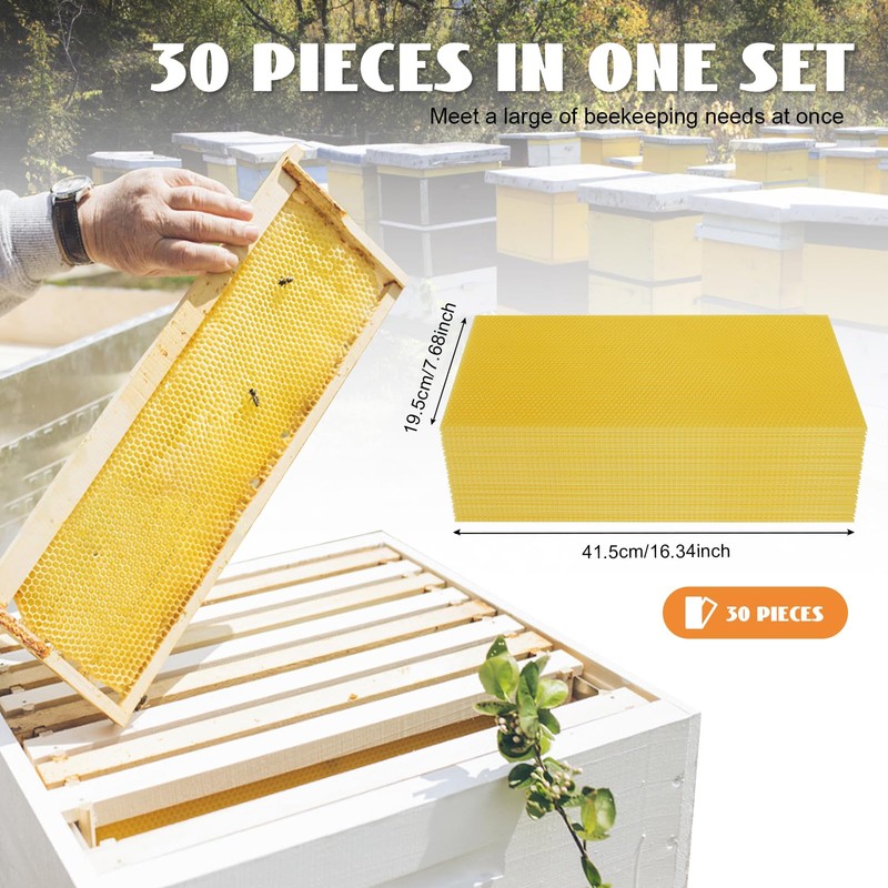 Beehive Waxed Coated Foundation Sheet 30PCS Honeycombs Bee Wax Nest