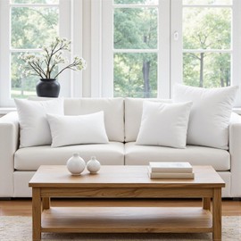 MIULEE Set of 2 Throw Pillow Inserts Premium Pillow Stuffer Square Form for Decorative Cushion Bed Couch Sofa 18x18 Inch