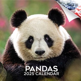 2024 2025 Pandas - Cute Animal Monthly Wall Calendar - 12 x 24 Open - Thick No-Bleed Paper - Giftable - Academic Teacher's Planner Calendar Organizing & Planning