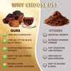 Chaga Mushroom Chunks - 8 ounce, 100% Wild Harvested with