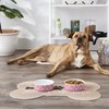 Bone Dry Trellis Paw Print Pet Bowl Set Microwave &