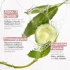 Peptide Plump Collagen Cushion Cream by Strivectin for Women -