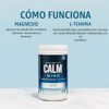 Natural Vitality Calm Mind Magnesio + L - Teanina en