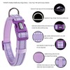 Petiry Reflective Nylon Dog Collar with Breathable Neoprene Padding,Adjustable for