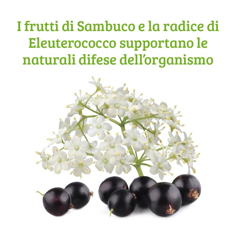 Colours of Life Holunderbeere Formel, 60 Tabletten