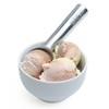 Zeroll 1010 - Cucharada de helado, diseño de aluminio, Plata/Marrón