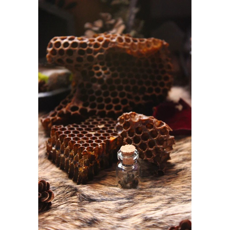 One Freshly 2005 Dried Real USA Honeybee Natural Honeycomb +