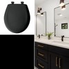 Bemis Classic Colors Slow Close Toilet Seat, Easy Clean Hinges