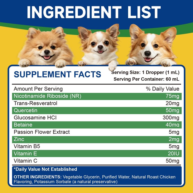 NAD+ Longevity Supplement for Senior Dogs, Vitality, Cognitive Health, 60ML