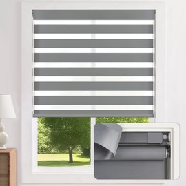 LazBlinds Cordless Zebra Blinds for Windows - Dual Layer Light Filtering & Blackout Roller Shades, Free-Stop Lift System, No Drill Easy Install, Day & Night Privacy with Valance, 30" W X 64" H, Grey