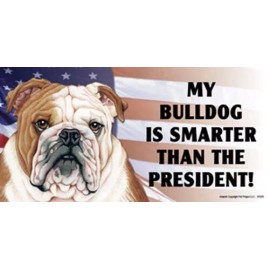 My Bulldog Is Smarter Than The President! Funny Car Fridge Dog Magnet 4x8 NEW