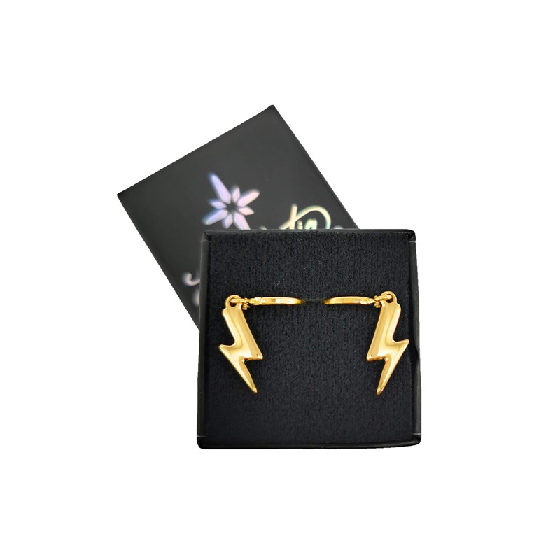 Arracadas con dije - Hoops with charm - Chapa de