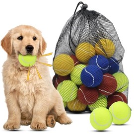 Magicorange Dog Tennis Balls, 20 Pack 2.5 inch Floatable Squeaky Tennis Balls for Fetch Exercise, Natural Rubber Squeaky Dog Balls Training Safe (Multicolor, 2.5inch)
