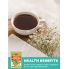 TeeLux Roasted Dandelion Root Tea Bags 50 Count, Premium Natural