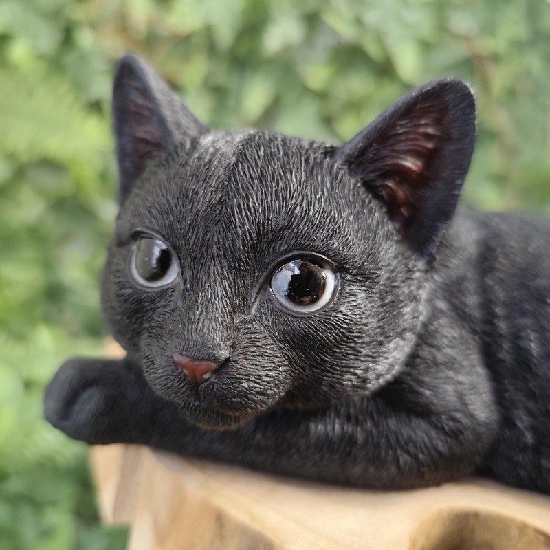 Vivid Arts - Laying Black Cat - XRL-DC61-D