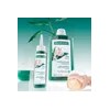 클로란 [지루성두피&가려움케어] 갈랑가 진저 비듬 샴푸 400ml x 2개 +
