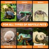 Simple Deluxe 100W Ceramic Heat Emitter, Reptile Heat Lamp No