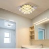 Cainjiazh Mini Chandelier LED Crystal Ceiling Light 2 Layers Flush