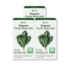 VCODE 유기농 컬리케일 100 3개입 VCODE Organic Curly Kale 100 - Pack of 3