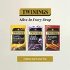 Twinings English Breakfast Tea | Golden, Well Rounded & Full