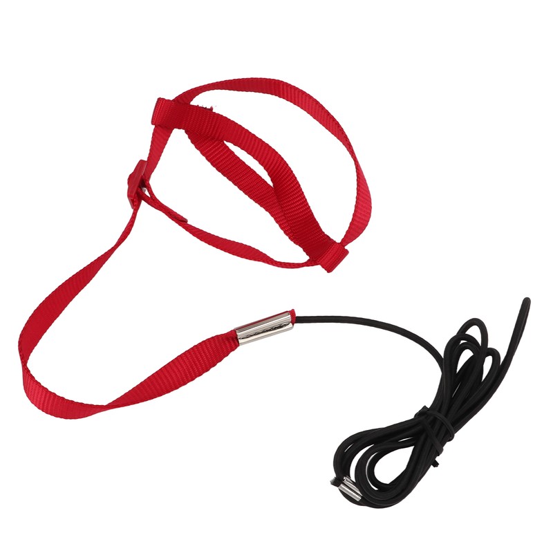 Bird Leash Bite Resistant Adjustable Parrot Flying Training Rope for