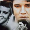 Unbranded Elvis Tin Sign Door Home Wall Decor Metal