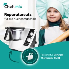 Chef-Mix Drive incl. bearing for TM21 replacement for Vоrwerk Thermоmix accessories TM21 - gear ball bearing set for food processor Thermоmix Vоrwerk TM21 - Thermоmix TM 21 spare parts and TM21