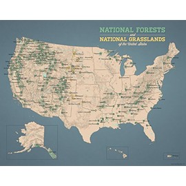 US National Forests & Grasslands Map 11x14 Print (Tan & Slate Blue)