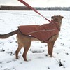 Mile High Life | Dog Raincoat | Adjustable Water Proof