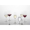Schott Zwiesel Tritan Crystal Banquet Stemware Collection Set of 6,