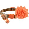 BoomBone Fall Cat Collar with Bell and Pumpkin Charm