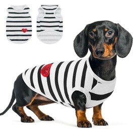 Queenmore Small Dog Shirt,Soft Breathable Dog Shirt for Dogs Cats Boy Girl,Pet Clothes for All Season,Breathable Lightweight Pet Tshirt for Frenchie, Dachshund, Yorkie