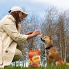 Jungle Calling Dog Treats, Chicken Jerky Dog Treats, Rawhide Free