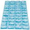 Igloo 1 lb. Natural Ice Cubes