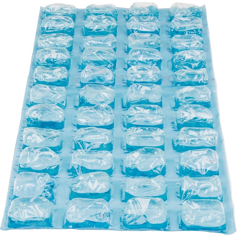Igloo 1 lb. Natural Ice Cubes