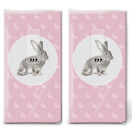 20 Individual Handkerchiefs Easter Bunny in a Circle. 2 Packs of 10 Individual Paper Handkerchiefs Printed as Gift