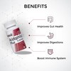 HealthAid Acidophilus Plus 4 Billion - 60 Vegicaps