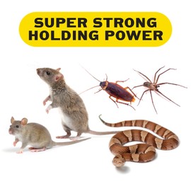 PIC GPT-4 Glue Pest Trap for Spider and Snake, 4-Pack