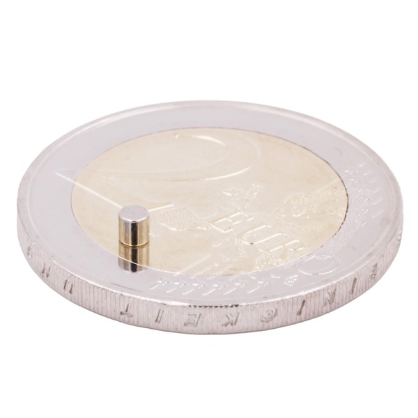 Aprilheld 10 Disc Magnets 2 x 2 mm N52 Strongest