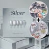 From the Nail Silver Magnetic Gel 5-piece set / 프롬더네일